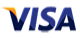 Visa Pay Logo