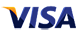Visa Card Payment Logo